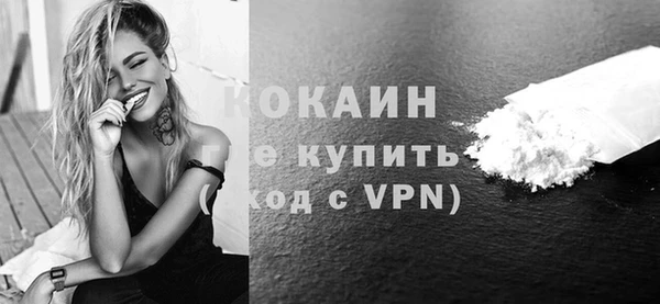 СК Ельня