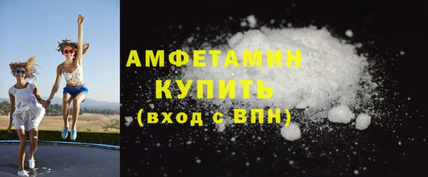 СК Ельня