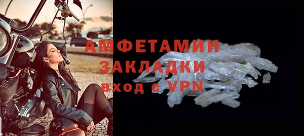 СК Ельня