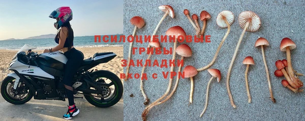 скорость mdpv Елизово