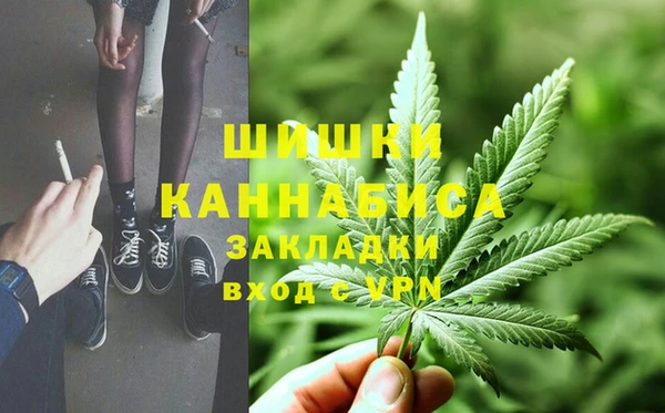 СК Ельня