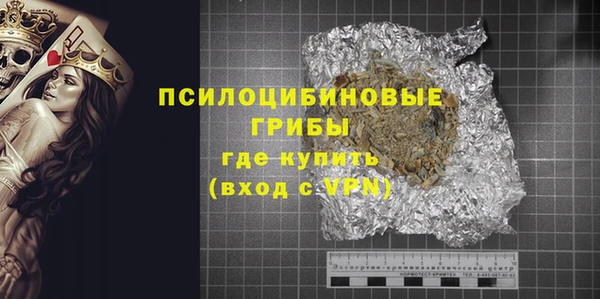 СК Ельня