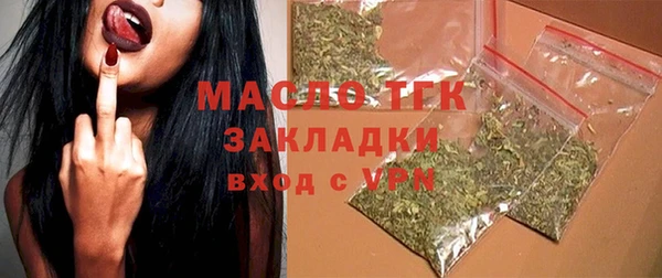 СК Ельня