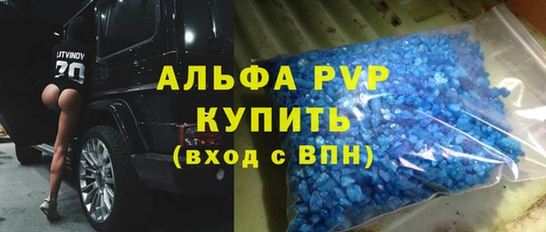 СК Ельня