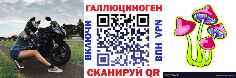 Галлюциногенные грибы Psilocybe  Семёнов 